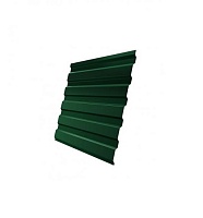 Профнастил С20В Полиэстер-Double RAL 6005